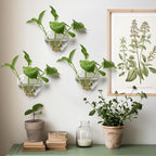 Wall Hanging Planter Propagation Station for Indoor Plants Glass Vase Air Plant Holder Gift for Women Girlfriend Plant Lover