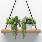 Winlyn 19 Pcs Assorted Artificial Succulents Plants Unpotted Small Green Hanging Succulent Aloe Fake Cacti Succulents Bulk for Succulent Garden Centerpiece Wreath Arrangement Indoor Outdoor Home Decor