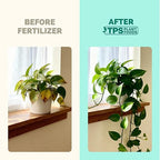 Indoor Plant Food – Liquid Fertilizer for Houseplants, New Growth, Greener Leaves, and Strong Roots, 32oz