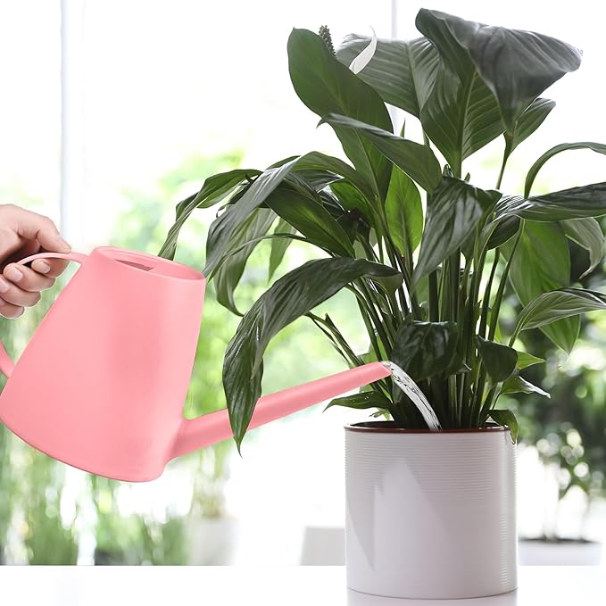 Plant Watering Can - Plastic Indoor and Outdoor - 1/2 Gallon - Pink