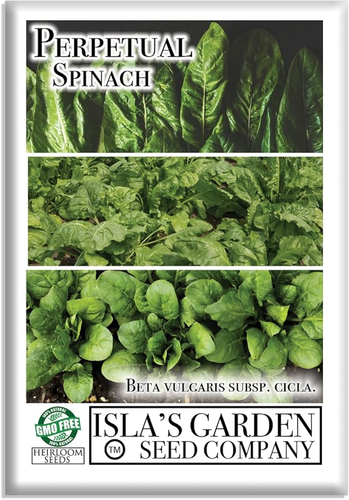Perpetual Spinach Seeds for Planting, 300+ Heirloom Seeds Per Packet, (Isla's Garden Seeds), Non GMO Seeds, Botanical Name: Beta vulgaris subsp. vulgaris, Great Home Garden Gift