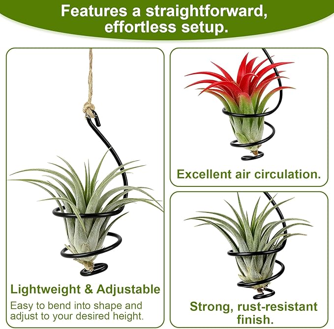 6 Pcs Hanging Air Plant Holders with Jute Ropes, Soilless Air Plant Stand Adjustable Rust-Resistant Iron Rings for Home Office Decor