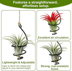 6 Pcs Hanging Air Plant Holders with Jute Ropes, Soilless Air Plant Stand Adjustable Rust-Resistant Iron Rings for Home Office Decor