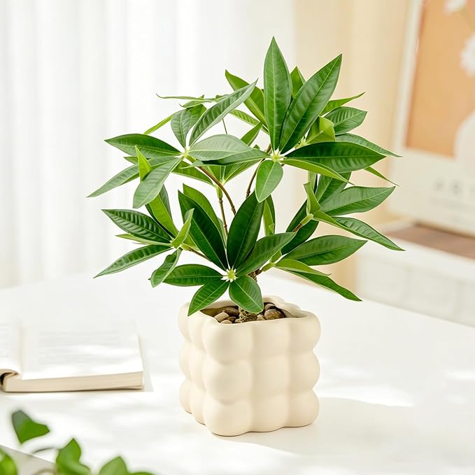 Small Money Tree Bonsai 10 inch Artificial Desk Plant in White Ceramic Pot, Realistic Indoor Faux Potted Pachira Money Plant for Home Office Living Room Decor(Maintenance Free)