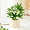 Small Money Tree Bonsai 10 inch Artificial Desk Plant in White Ceramic Pot, Realistic Indoor Faux Potted Pachira Money Plant for Home Office Living Room Decor(Maintenance Free)