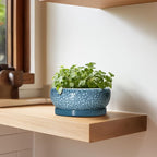 Succulent Pots 6 Inch - Ceramic Bonsai Pots with Drainage Hole and Saucer, Shallow Planters for Indoor Outdoor, Small Bonsai Pot, Round Planter Bowl, Porch Room Decor, Plant Lover Gift, Blue