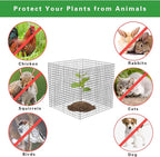 40 Pcs Plant Protector from Animals, 10 Pack 12'' x 12'' Reusable Metal Square Plant Cages, Wire Mesh Garden Cloches to Keep Rabbits, Squirrels and Chicken Out and Protection Vegetables Flowers Shrubs