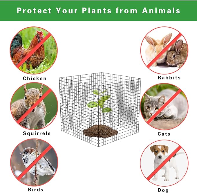 20 Pcs Plant Protector from Animals, 5 Pack 12'' x 12'' Reusable Metal Square Plant Cages, Wire Mesh Garden Cloches to Keep Rabbits, Squirrels and Chicken Out and Protection Vegetables Flowers Shrubs