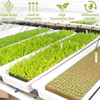 Halatool 1 Inch Rockwool Cubes Garden Rock Wool Stonewool Grow Cubes Starter Plugs for Hydroponics Soilless Cultivation Clone Plants Germination Start (6 Sheets, 300 Plugs in Total)