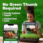 HOME GROWN 𝗨𝗦𝗔 𝗣𝗥𝗘𝗠𝗜𝗨𝗠 𝗢𝗥𝗚𝗔𝗡𝗜𝗖 Watermelon Vegetable Seeds 15 & Cherry Belle Radish 800 & Tendersweet Carrots 3000