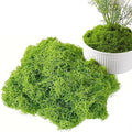 Fake Green Moss for Decorating, Artificial Moss for Aquarium Model Crafts Table Centerpieces Decor (Green, 200g/7oz)