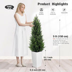 5FT Tall Artificial Cedar Topiary Tree with Compact Pyramidal Shape, Realistic Faux Cypress in Square White Pot with Fillable Water Bag, Outdoor Evergreen for Front Porch Garden Home Decor