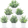 Der Rose 6 Pack Fake Plants Small Artificial Plants Faux Plants Indoor for Home Bathroom Bedroom Living Room Classroom Decor