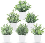 Der Rose 6 Pack Fake Plants Small Artificial Plants Faux Plants Indoor for Home Bathroom Bedroom Living Room Classroom Decor
