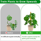 Moss Pole, 2Pack 21 Inch Plant Support Stakes for Indoor Plants, Monstera Plant Support Stakes, 37 Inch Tall Coir Plant Pole Sticks for Potted Plants, Pothos, Philodendron