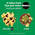 Miracle-Gro Shake 'N Feed All Purpose Plant Food - Outdoor and Indoor Plant Food for In-Ground and Containers, Feeds for up to 3 Months, 1 lb.