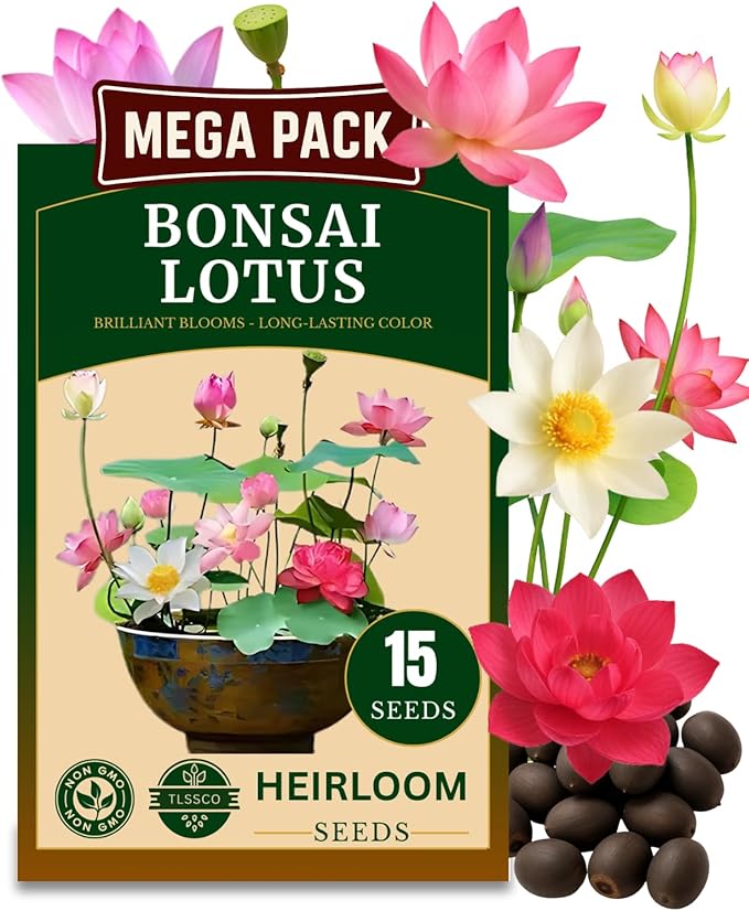 15 Lotus Seeds for Planting, Pack for 2026 USA Premium Non-GMO Seeds - Pink, Red & Green Color, Beautiful Water Plants for Indoor Bonsai, Outdoor Ponds and Gardens