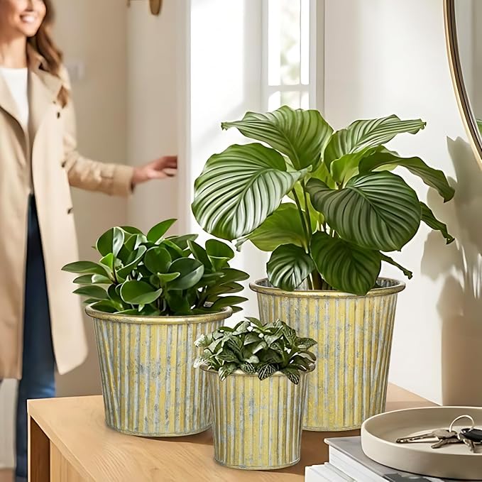 Gold Metal Rustic Flower Pots - 3 PCS Galvanized Planters Rustproof Durable Metal Buckets Plant Pots Vintage-Inspired Charm Rustic for Farmhouse Garden Herb Indoor Outdoor Decor(Dia.5.5"/6.5"/7.1")