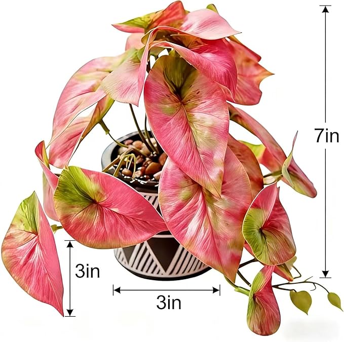 7" Artificial Red Caladium Plant in Geometric Ceramic Pot Lifelike Variegated Faux Potted House Plant 8" Wide Desk Shelf Bathroom Home Office Decor