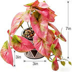 7" Artificial Red Caladium Plant in Geometric Ceramic Pot Lifelike Variegated Faux Potted House Plant 8" Wide Desk Shelf Bathroom Home Office Decor