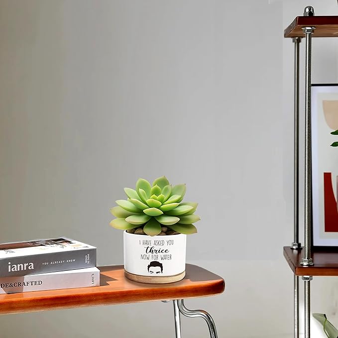 Thrice Now for Water Ceramic Succulent Planter Cactus Pots, Funny Planter Pots Gifts for Plant Lovers ﻿