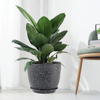 UOUZ 12inch Large Plant Pot, Modern Plastic Planter with High Driange Holes and Saucer for Indoor Outdoor Garden Plants and Flowers, Black Speckles