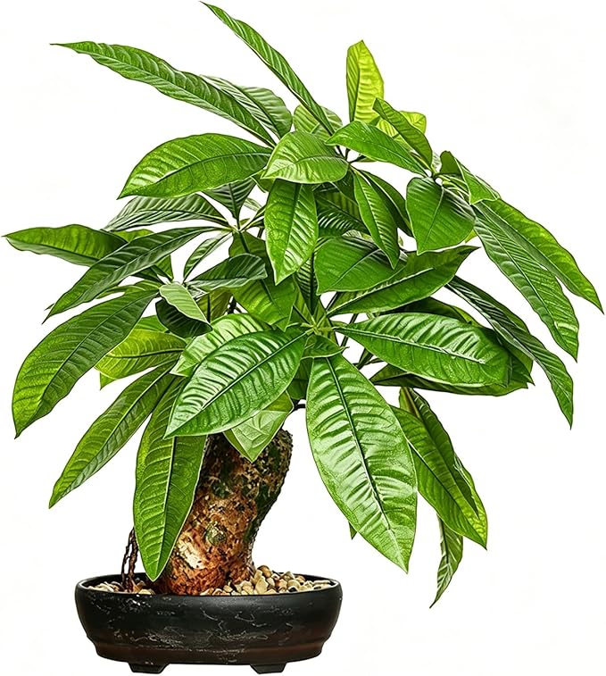 16 Inch Fake Money Tree, Artificial Bonsai Money Tree for Good Luck Fortune, Small Faux Potted Plant for Home Office Desk Living Room Bedroom Decor