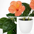 Briful Artificial Hibiscus Flowers in Pot, 14.5’’ Faux Hibiscus Plant, Spring Summer Flowers for Home Decor, Farmhouse Table Decor & Coffee Table Decor, Indoor Potted Fake Flower, Peach