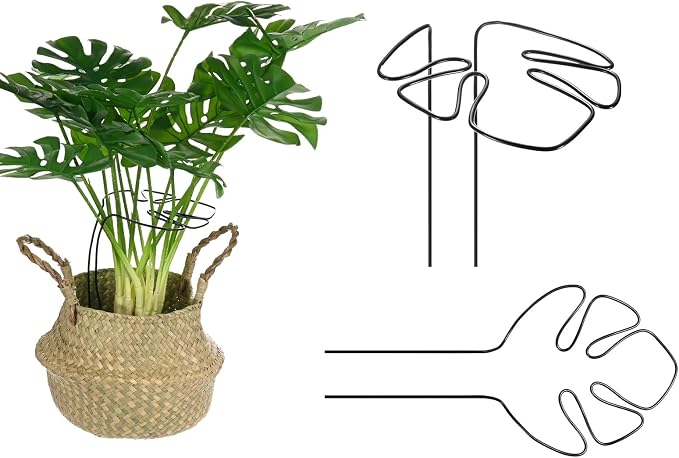M METERXITY 2-Pack Monstera Plant Support, 11x5.9 Inch Reusable Sturdy Alloy Plant Support Stakes Unique Design for Potted Plants Flowers/Vegetables/Indoor Outdoor Climbing Plants [Black]