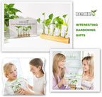 Renmxj Plant Propagation Station, Plant Terrarium with Wooden Stand, Plants Pots for Hydroponics, Small Birthday Gardening Gifts for Women Mom Plants Lovers Unique - 5 Glass Test Tubes Vases