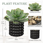 Briful Succulents Plants Artificial for Home Decor, Realistic Potted Fake Plant, Bubbled Plant Pot, Cute Succulents Faux Plant, Shelf Tables Decor, Modern Farmhouse Home Decorations