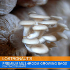 50Pcs Mushroom Growing Bag 6 Mil Thick Mushroom Spawn Bags Autoclavable Bags 8"x5"x20" Mushroom Grow Kit 0.2 Micron Filter Mycobag Grow Kit Tear Resistant Strong