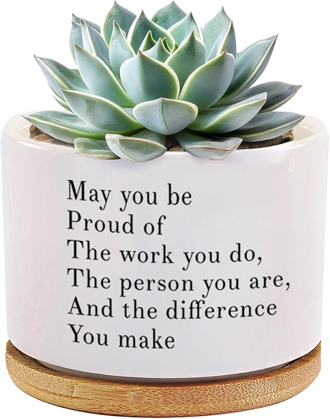 May You Be Proud of The Work You Do Inspirational Gift Ceramic Succulent Plant Pot with Tray Coworker Leaving Motivational Gifts Home Decor Plant Lover 3.5 Inch White (No Plants) (with Bamboo Tray)