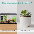 Calofulston 2.2lb Drainage Rocks for Potted Plants, 1/5 Inch Small Pebbles for Plants, Aquarium, Fish Tank, Terrarium, Succulent, Vases, Decorative Pea Gravel, Mixed Color