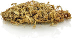 Gardenera Ixora Plant Potting Mix - Unlock Robust Growth and Stunning Flowers with Our High-Performance Formula - 20 Quart