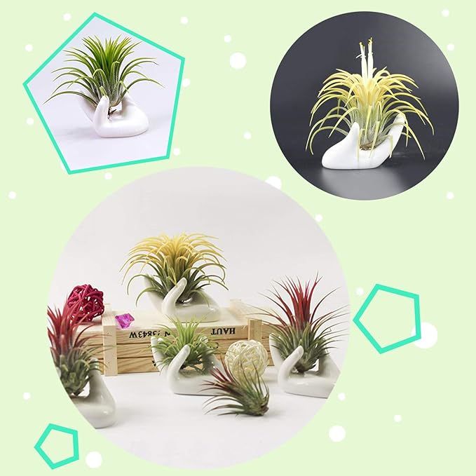6 Pack Ceramic Air Plant Stand Holder, Hand Shape Tillandsia Airplant Container Pot Tabletop Plant Display Hand Racks for Home Office Decoration Supplies(White)