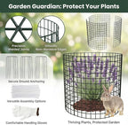 3Pack 17x14 Inch Galvanized Wire Plant Protectors -9Pcs Mesh Cages with Stakes & Zip Ties, Chicken Wire Cloches for Rabbits Squirrels, Garden Vegetable Seedling Protection