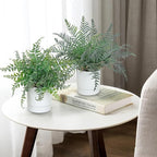 GnFlus Set of 2 Fake Plant Boston Fern Potted Artificial Plants Small Artificial Desk Plant with Potted Pots for Shelf Desk Home Bathroom Farmhouse Room Office Kitchen Farmhouse Coffee Table Decor