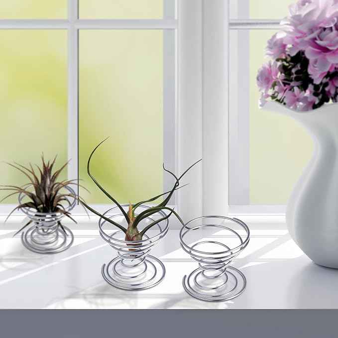 Shappy 6 Pieces Air Plant Holder Air Plant Live Holders Outdoor Stainless Steel Tillandsia Base Container Display Rack for Tropical Home Desktop Office Decoration Supplies, Silver