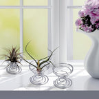 Shappy 6 Pieces Air Plant Holder Air Plant Live Holders Outdoor Stainless Steel Tillandsia Base Container Display Rack for Tropical Home Desktop Office Decoration Supplies, Silver