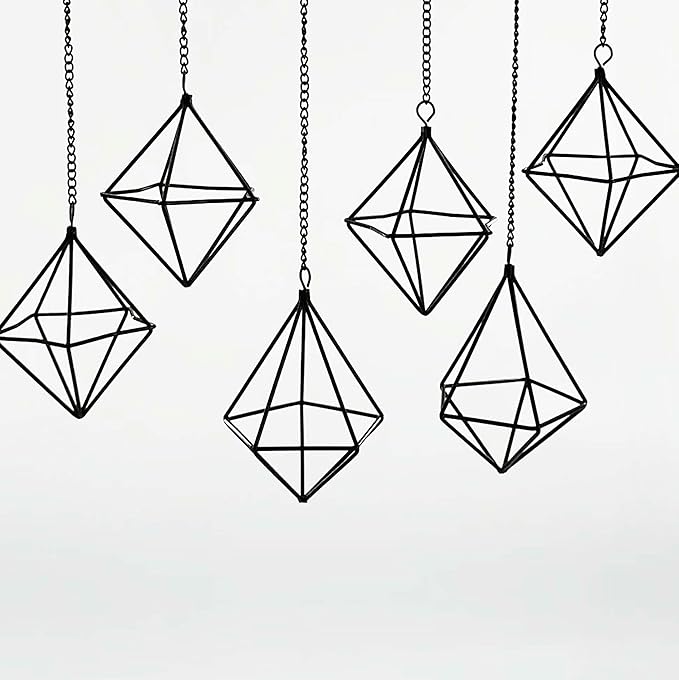 6 Pack Hanging Metal Air Plant Holders with Chain, Black Geometric Tillandsia Air Plant Hanger Cages, 2 Styles Mini Iron Air Plants Live Holders for Home Office Garden Decor