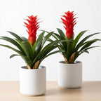 Artificial Flowers for Outdoors, Fake Bromeliad Flowers, Real Touch Fake Plant, Fake Flower for Decor Living Room Home Office Desk, 18 inch, 2 Pcs No Pot (Red)