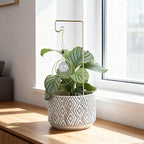 2 Pack Trellis for Potted Plants with Crystal Sun Catcher, Small Metal Garden Trellises for Climbing Plants Outdoor Indoor, Home Flower Vine Pot Plant Decor