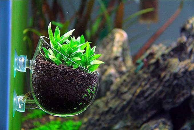 Tfwadmx Aquarium Plant Holder Pot Aquarium Decor Crystal Glass Aquatic Plant Cup with Suction Cups for Fish Tank Aquascape Decoration (4 Pack)