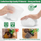 12 Pack Plastic Orchid Pots with Holes, 4, 5, 6 Inch Clear Orchid Pots for Repotting with Saucers Drainage and Plant Stakes, Large Small Breathable Orchids Planter Plant Pot