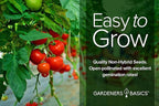 Tomato Growing Kit – Grow 8 Varieties of Delicious Tomatoes – Non-GMO Heirloom Seeds, Complete Indoor & Outdoor Tomato Seed Kit, Our Tomato kit is Perfect for Home Gardens & Fresh Cooking