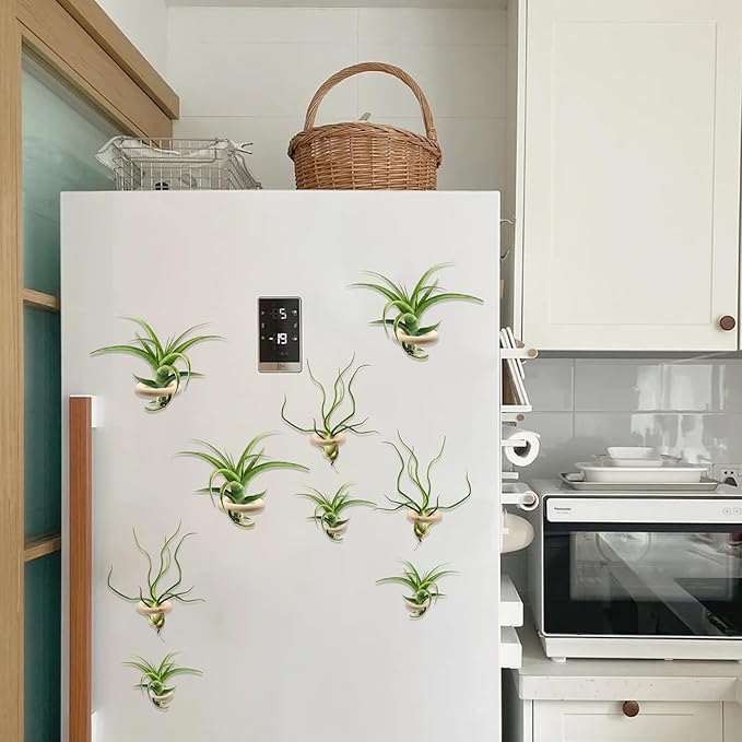 12 PCS Magnetic Air Plant Holder, Wooden Round Refrigerator Magnet Planter Stand in 3 Sizes, Mini Wall Mount Air Plant Holder Ring for Tillandsia, Bromeliads, Dried Flowers, Office & Home Décor