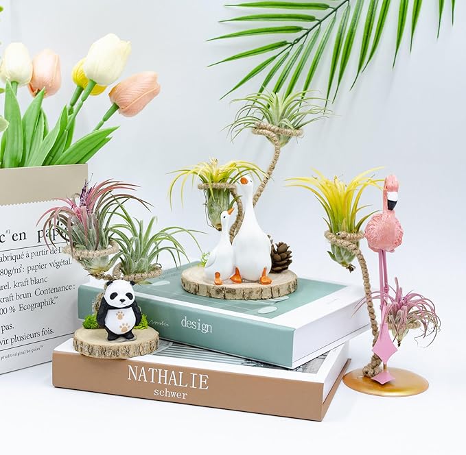 Air Plant Holders, Unique Air Plant Holders with Charming Decor, Home Decor for Living Room, Bedroom, Office, Table, Bookshelf, Gift, Office Decoration Supplies