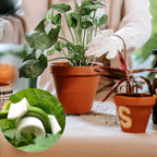 Booge 40 Pcs Low Stress Training Clips, 90 Degrees Plant Trainer Bud Plant Bender Plant Training Clips Bud Bender for Plant Gardening - White and Green