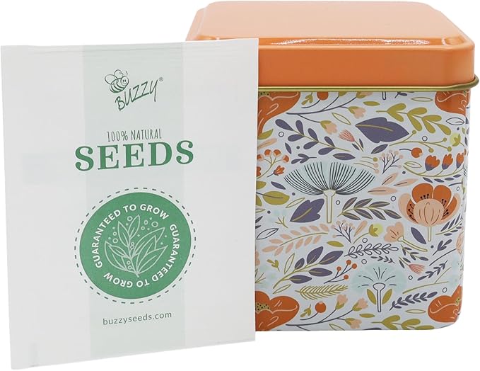 BUZZY Seeds Herbal Tea Garden Grow Kit – 3 Square Tin Planters with Lavender, Chamomile & Lemon Balm Seeds, Easy Indoor Herb Starter, Relaxing Gardening Gift Set